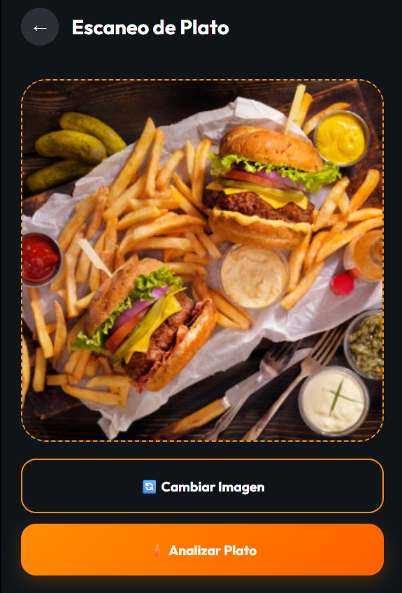 App Interface